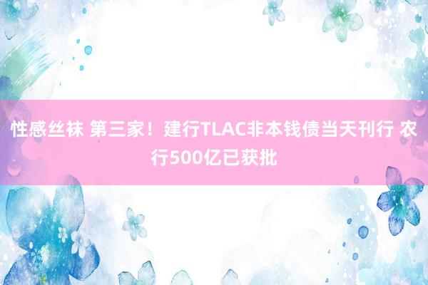 性感丝袜 第三家！建行TLAC非本钱债当天刊行 农行500亿已获批