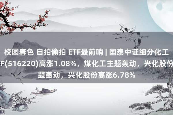 校园春色 自拍偷拍 ETF最前哨 | 国泰中证细分化工产业主题ETF(516220)高涨1.08%，煤化工主题轰动，兴化股份高涨6.78%
