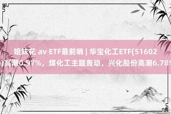 姐妹花 av ETF最前哨 | 华宝化工ETF(516020)高潮0.97%，煤化工主题轰动，兴化股份高潮6.78%