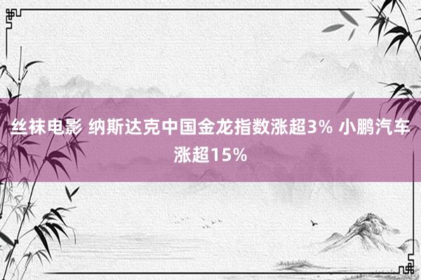 丝袜电影 纳斯达克中国金龙指数涨超3% 小鹏汽车涨超15%