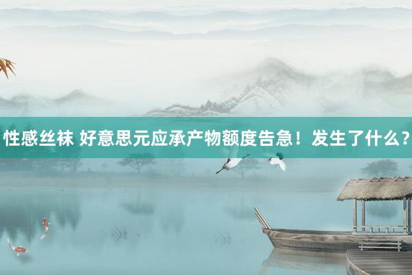 性感丝袜 好意思元应承产物额度告急！发生了什么？