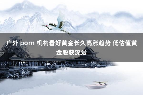 户外 porn 机构看好黄金长久高涨趋势 低估值黄金股获深爱
