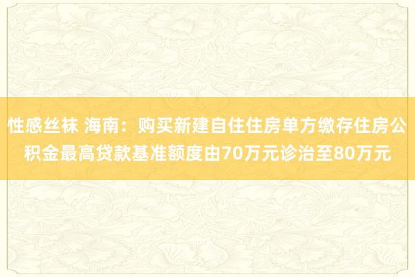 性感丝袜 海南：购买新建自住住房单方缴存住房公积金最高贷款基准额度由70万元诊治至80万元
