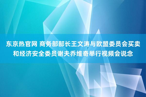 东京热官网 商务部部长王文涛与欧盟委员会买卖和经济安全委员谢夫乔维奇举行视频会说念