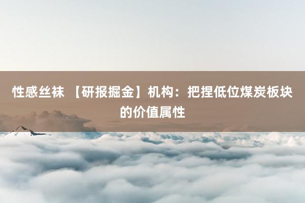 性感丝袜 【研报掘金】机构：把捏低位煤炭板块的价值属性