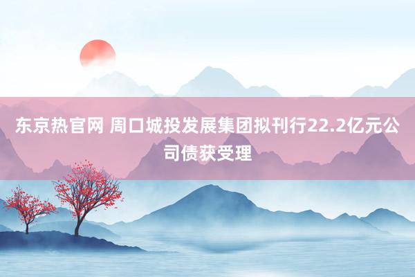 东京热官网 周口城投发展集团拟刊行22.2亿元公司债获受理