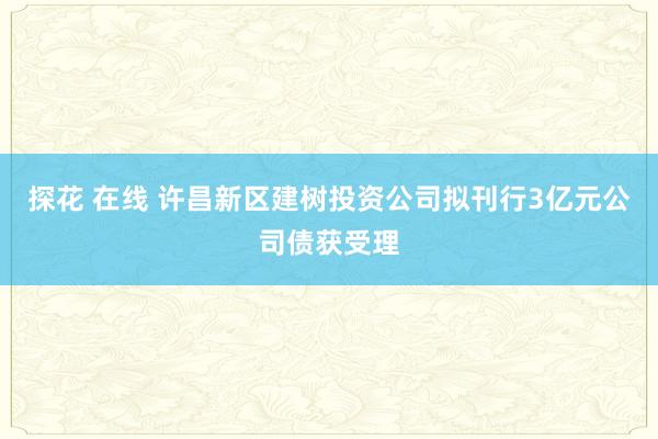 探花 在线 许昌新区建树投资公司拟刊行3亿元公司债获受理